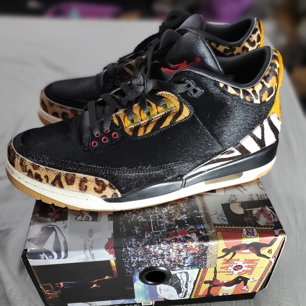 Jordan Retro 3 SE Animal Instinct